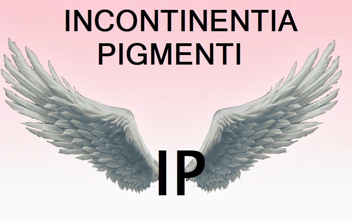IP ANGEL