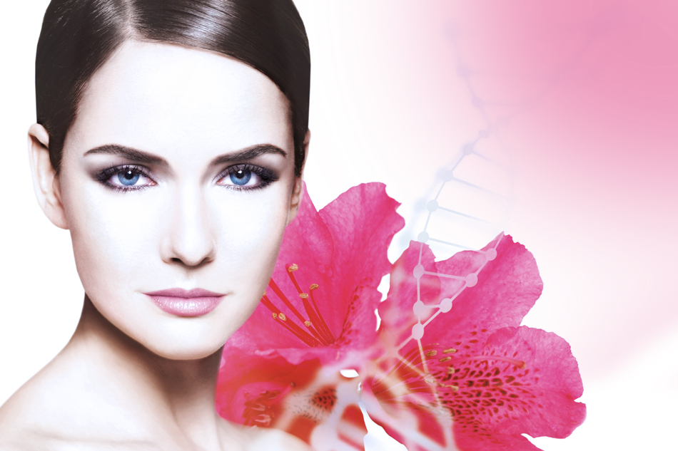 Major Components of Cosmetic Products