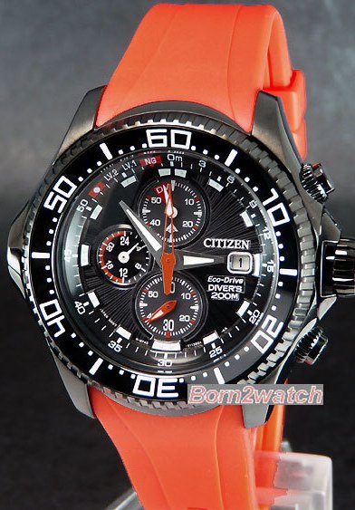 seiko casio citizen orient