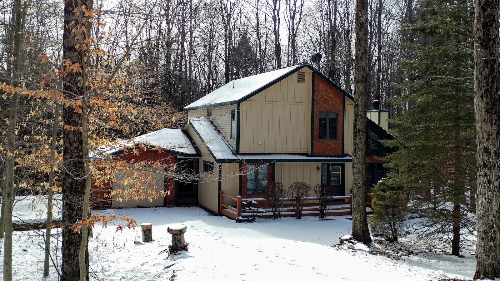 Waynes Pocono Blog Camelot Forest in the Blakeslee Area
