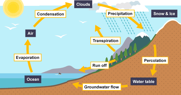 You Learn Something New Every Day: The Water Cycle