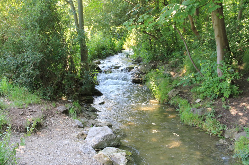 Walters Weblog Hachinger Bach