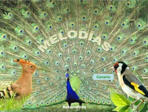 canto+de+aves.jpg
