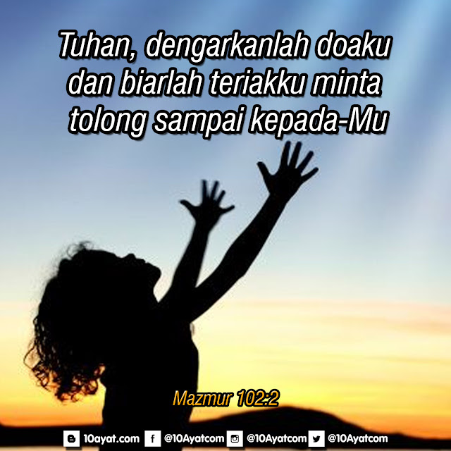 mazmuir%2B102 2