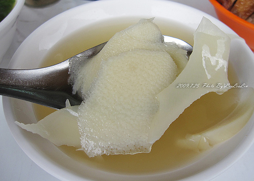 松哥鲨魚皮羹|蔴薏湯