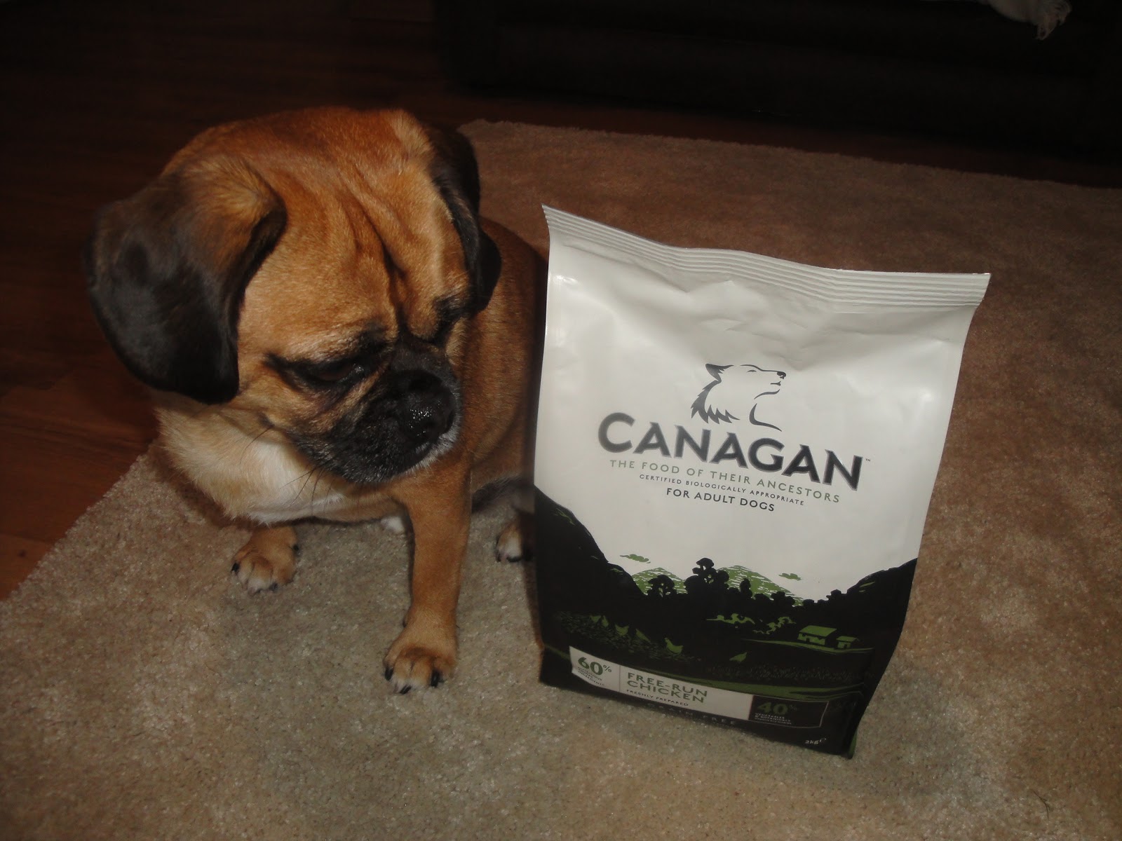 The Adventures of The Tank Product Review Canagan Dog Food (Part 1)