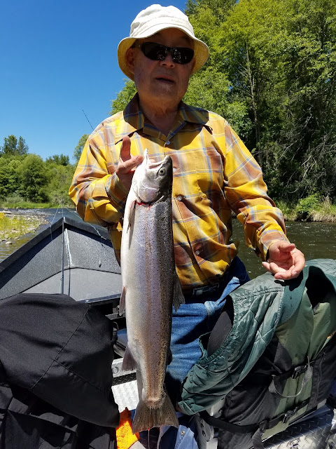 Rogue River, Umpqua River, Chetco River, Coquille River, Pacific, Oregon, Oregon Coast, Salmon Fishing, Gold Beach OR, Phil Tripp, Rogue River Sport Fishing, Roseburg OR, Fly fishing, travel oregon, Guide service, SW Oregon, Fishing charter, drift boat, Elk River, Sixes River, Steelhead, Springers, Chinook Salmon, King Salmon, Willie Boats, Medford OR, Rogue Bay, Coos Bay, Shady Cove OR, Back-bouncing, trolling, side-drifting, Oregon Vacation, Charter, Maxima, Mercury, G-loomis, Shimano, Simms, Sawyer,