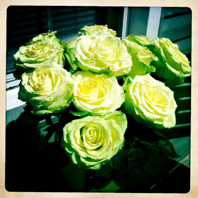 Anniversary Roses from the Hubby