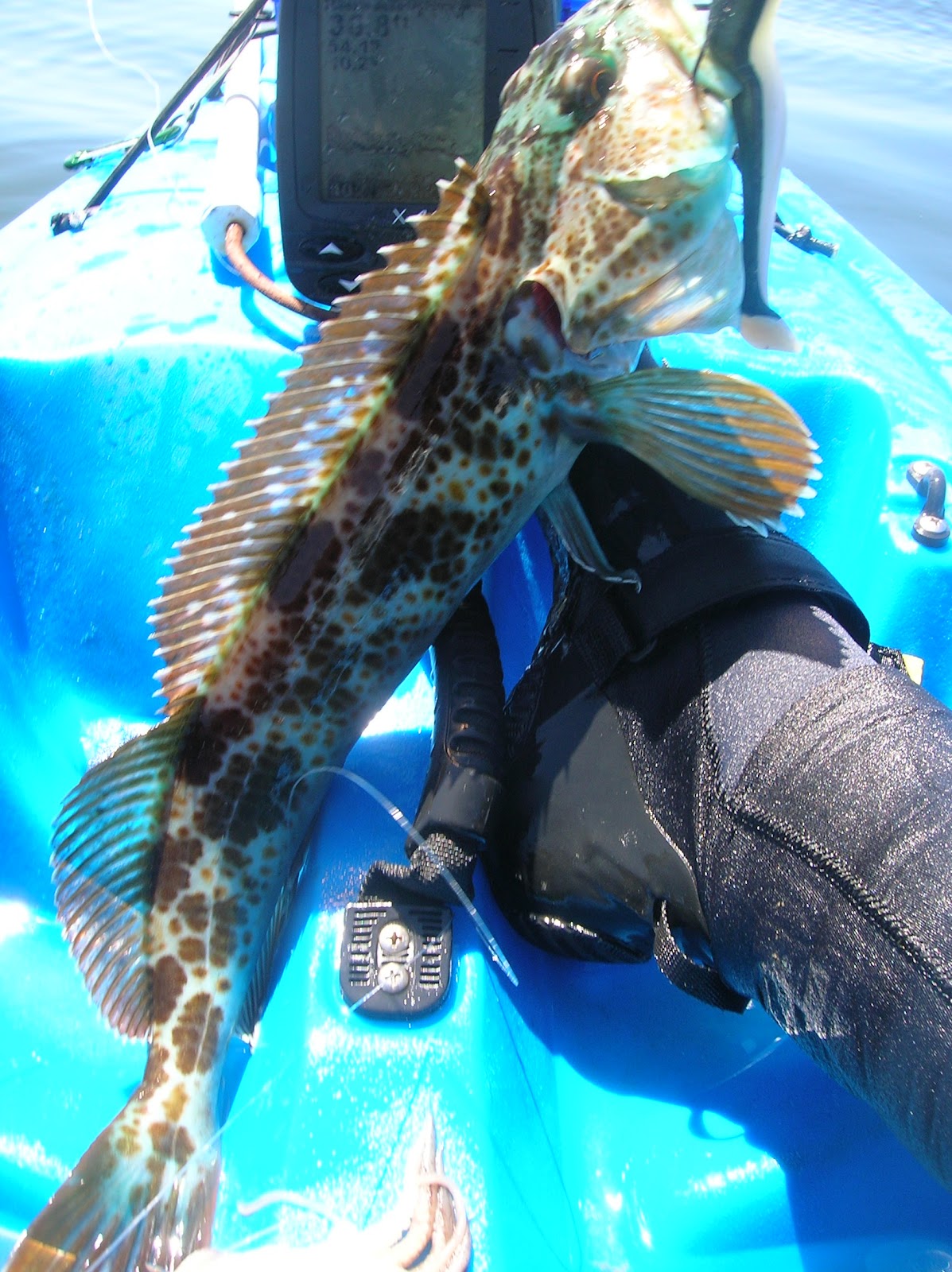 sideroadtravels avila beach halibut skunk