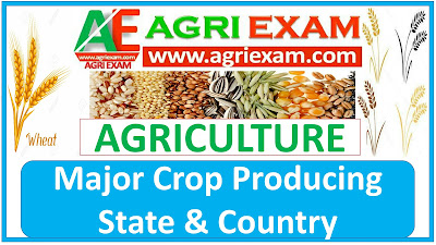 Major crop producing state and country