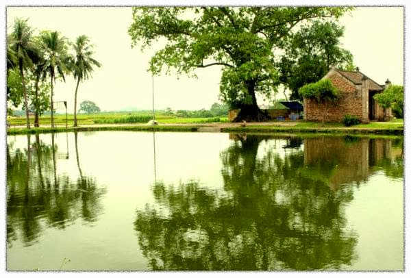 Viet nam que huong toi