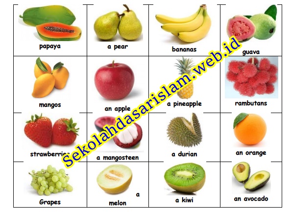 Materi Bahasa Inggris Tentang Buah Buahanvocabulary Fruit Beserta