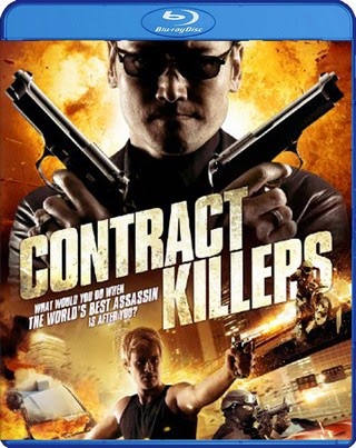 Contract Killers 2014 [Hindi Eng] Dual Audio BRRip 480p 300mb