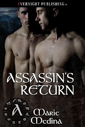 Assassin's Return (Valladora Tales 3)