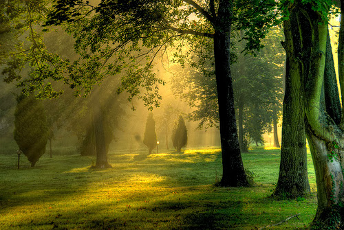 6 Most Productive Ways to Start the Morning