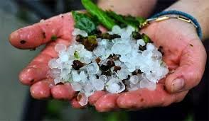 ΔΗΜΟΣ ΚΑΣΤΟΡΙΑΣ:ΚΟΙΝΟΠΟΙΗΣΗ ΠΟΡΙΣΜΑΤΩΝ ΓΙΑ ΑΠΟΖΗΜΙΩΣΕΙΣ ΕΛΓΑ ΑΠΟ ΧΑΛΑΖΙ ΚΑΙ ΑΛΛΑ ΦΥΣΙΚΑ ΦΑΙΝΟΜΕΝΑ ΔΗΜΟΣ ΚΑΣΤΟΡΙΑΣ:ΚΟΙΝΟΠΟΙΗΣΗ ΠΟΡΙΣΜΑΤΩΝ ΓΙΑ ΑΠΟΖΗΜΙΩΣΕΙΣ ΕΛΓΑ ΑΠΟ ΧΑΛΑΖΙ ΚΑΙ ΑΛΛΑ ΦΥΣΙΚΑ ΦΑΙΝΟΜΕΝΑ