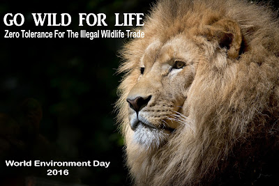 environment, World Environment Day 2016 theme, Tema peringatan hari Lingkungan Hidup 2016, Makna dari Go Wild For Life, Logo hari lingkungan 2016