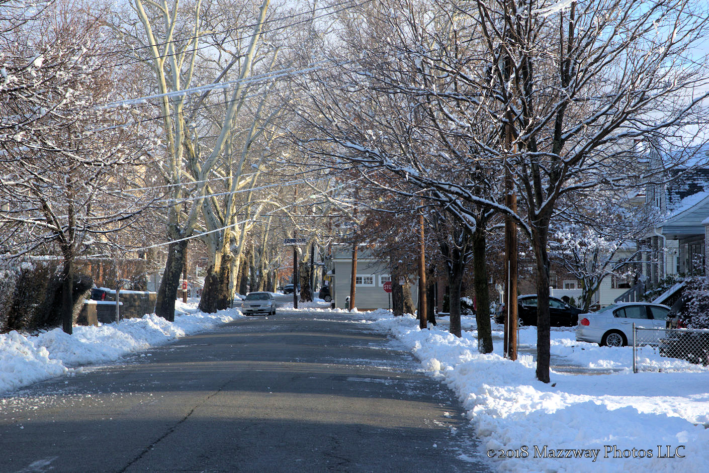 Bogota Blog NJ March Snow