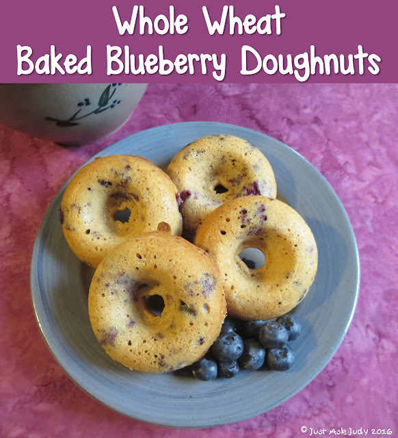 Whole Wheat Blueberry Doughnuts Celebrate National Doughnut Day the first Friday in June!