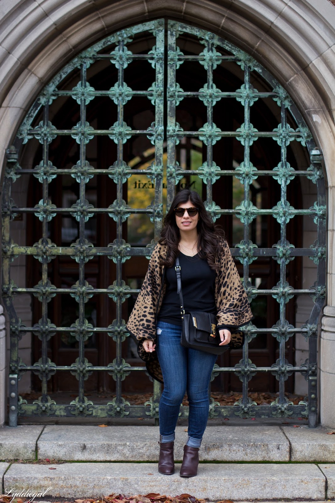 Electing leopard - Chic on the Cheap | Connecticut based style blogger ...