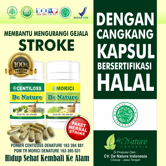 Obat stroke, obat herbal stroke, obat menyembuhkan stroke, obat menangani stroke, obat untuk stroke, obat alami stroke