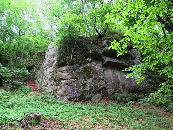 Wielki Bukowiec ostaniec