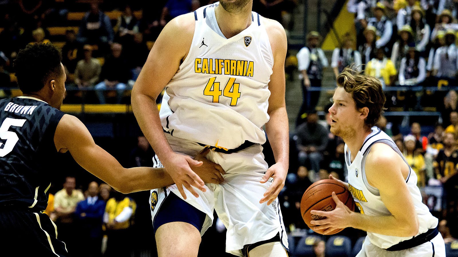 California Golden Bears Men s Basketball Basketball Choices