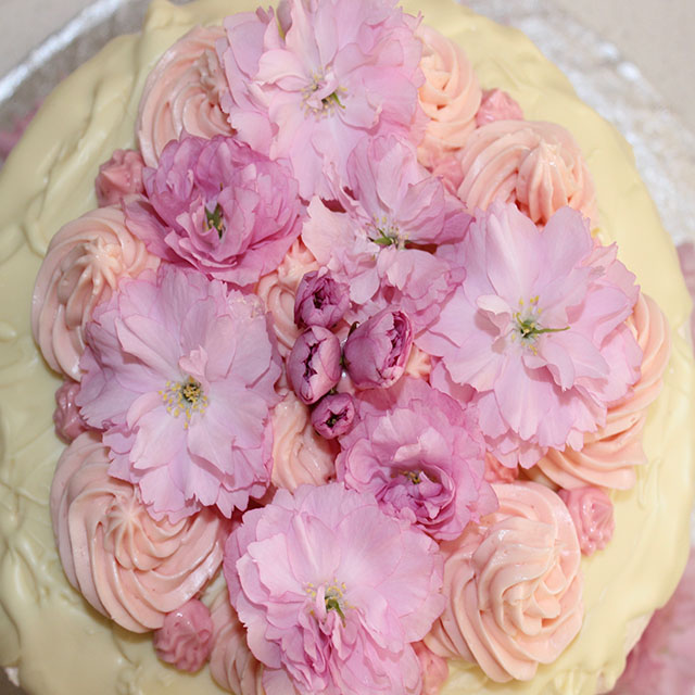 Pink Champagne Rose Cake