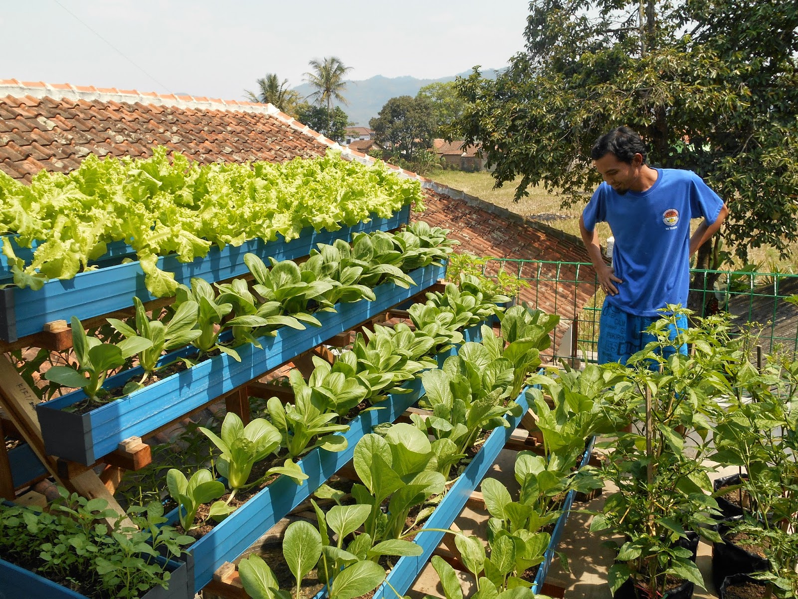 Program Generasi Sehat dan Cerdas Kecamatan Cihampelas Kabupaten