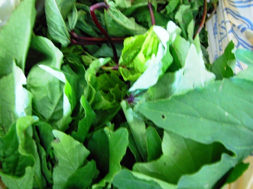 Chumkie's Kitchen Burmese Roselle Leaves with Bamboo Shoots & Shrimp