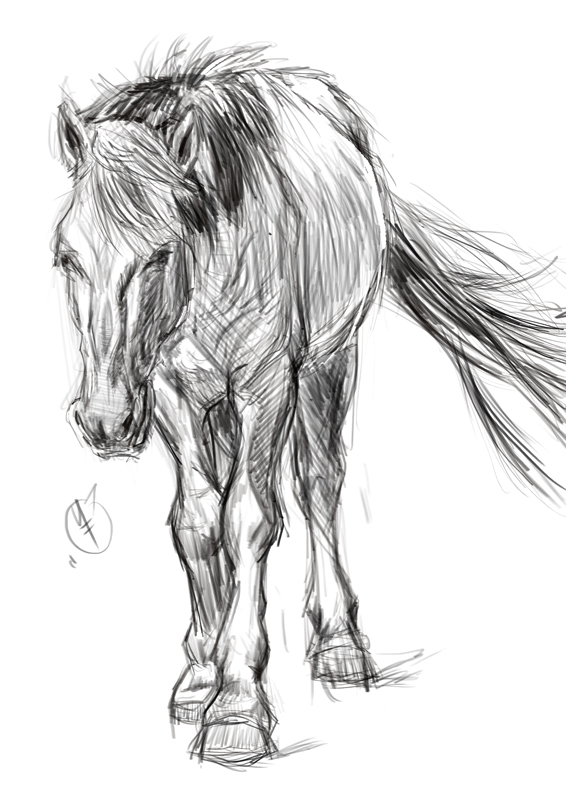 Arazumono 馬の絵１ スケッチ