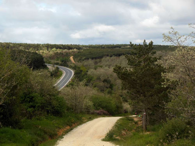 Alto de la Pedraja Alto de la Pedraja , Montes de Oca, Camino, Jola Stępień