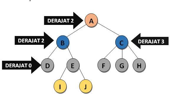 Narita's BLOG: POHON BINER (BINARY TREE)