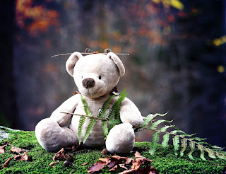 Teddy Bear Images Teddy Bear Images
