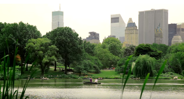 Tourist Spots and Attractions of Central Park New York