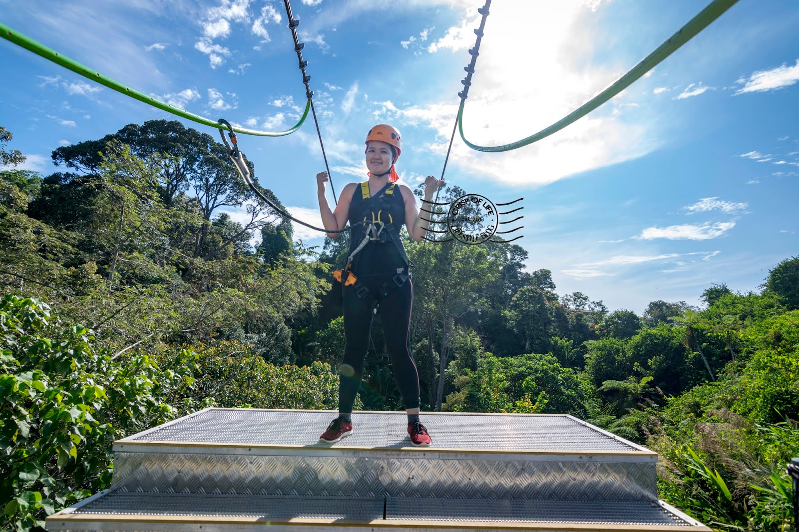 Challenge Yourself Zipping Across Penang Highest Rainforest @ The Habitat Penang Hill 