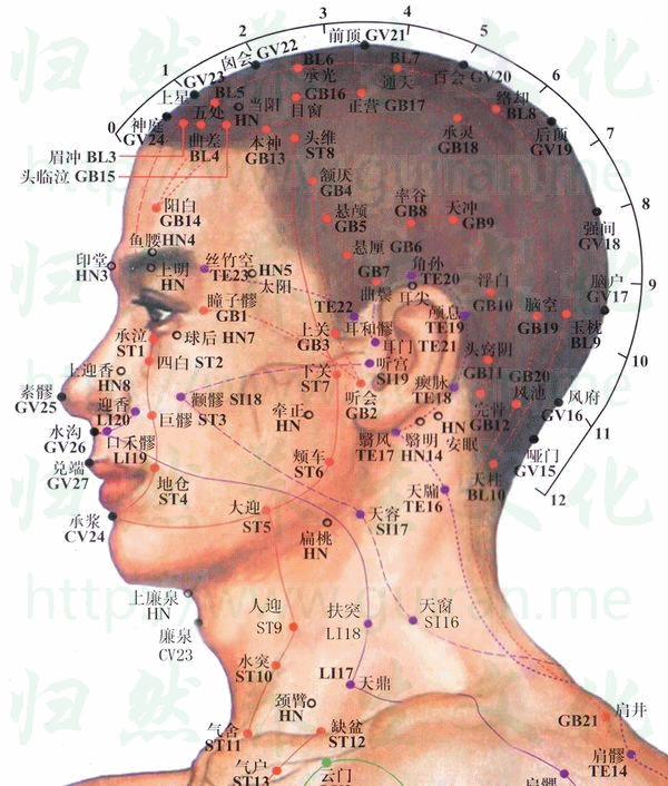 聽會穴位 | 聽會穴痛位置 - 穴道按摩經絡圖解 | Source:zhentuiyixue.com
