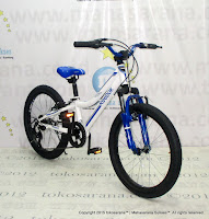 20 Inch Reebok Chameleon Spirit Carbon Steel 6 Speed Junior Mountain Bike