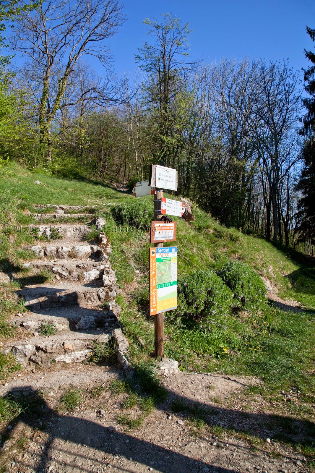 Sentiero per Valico Pizzelle Campo dei Fiori Varese