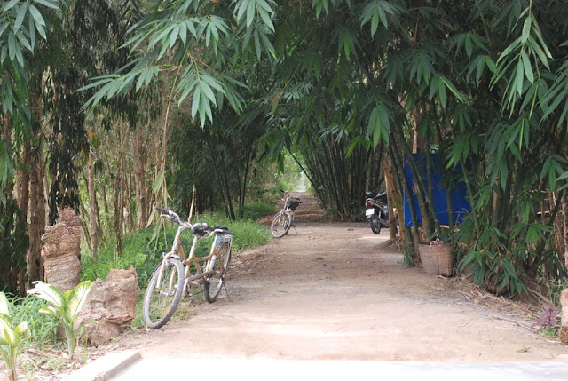 Tra Su forêt, Chau Doc 2010