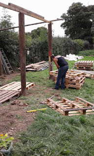 De-nailing pallets pallets
