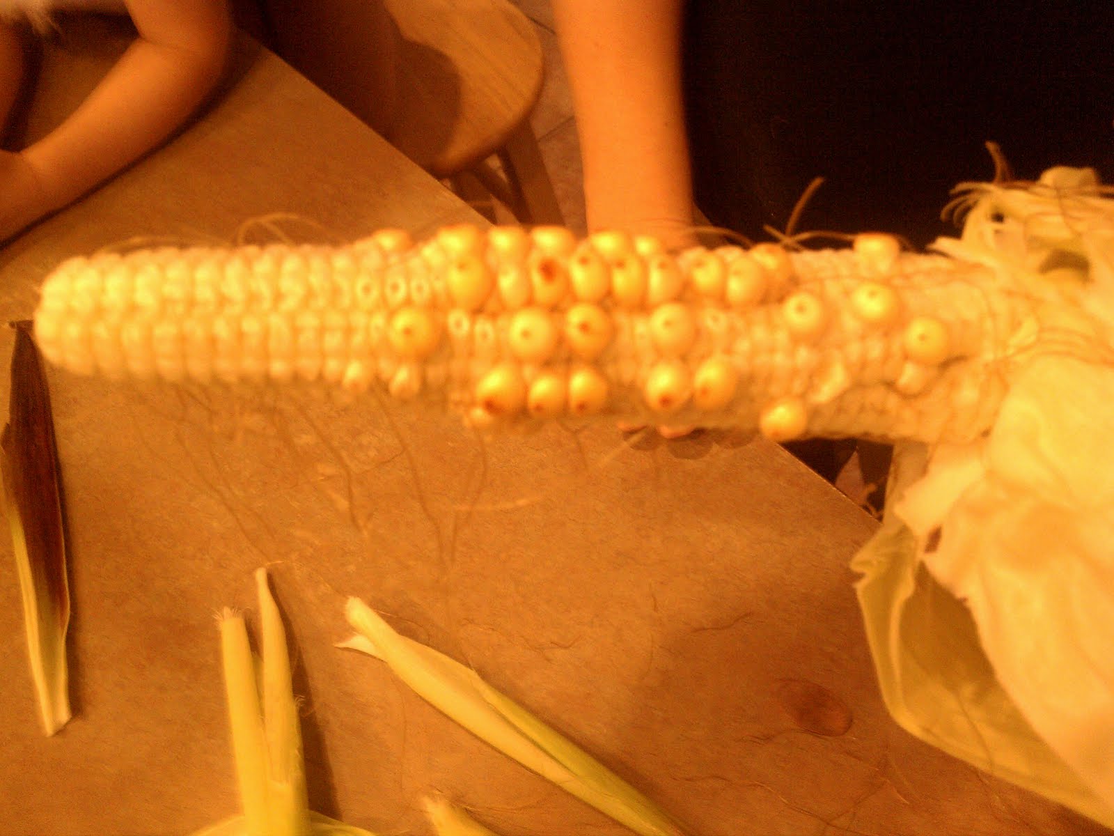 The Orange Jeep Dad's...blog. How to Hand Pollinate Corn Prevent
