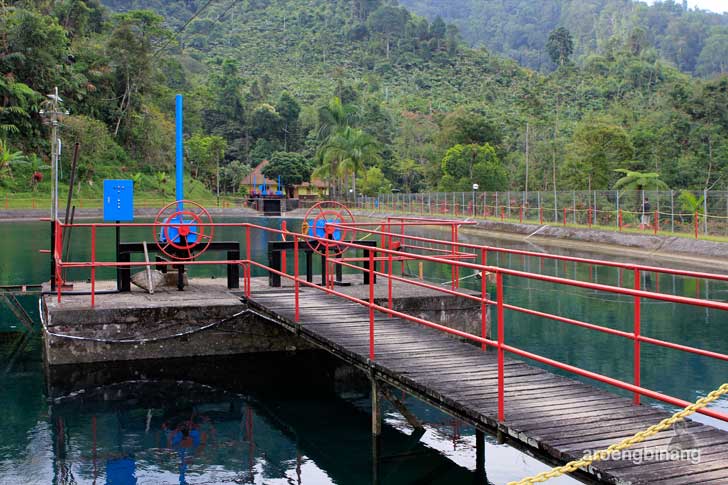 kolam tando plta ketenger batyrraden banyumas