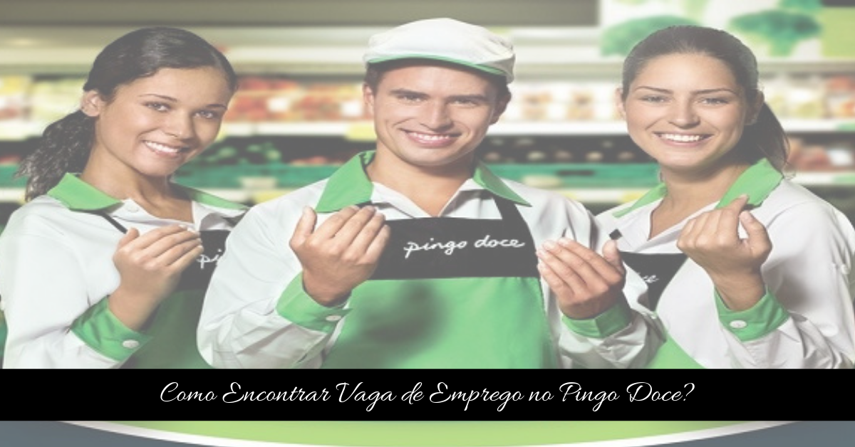 Pingo Doce Recrutamento Como encontrar a vaga que procuro? Emprego em Portugal