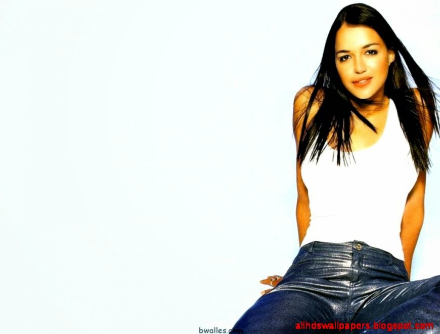 Michelle rodriguez beauty wallpaper 4564     Gallery