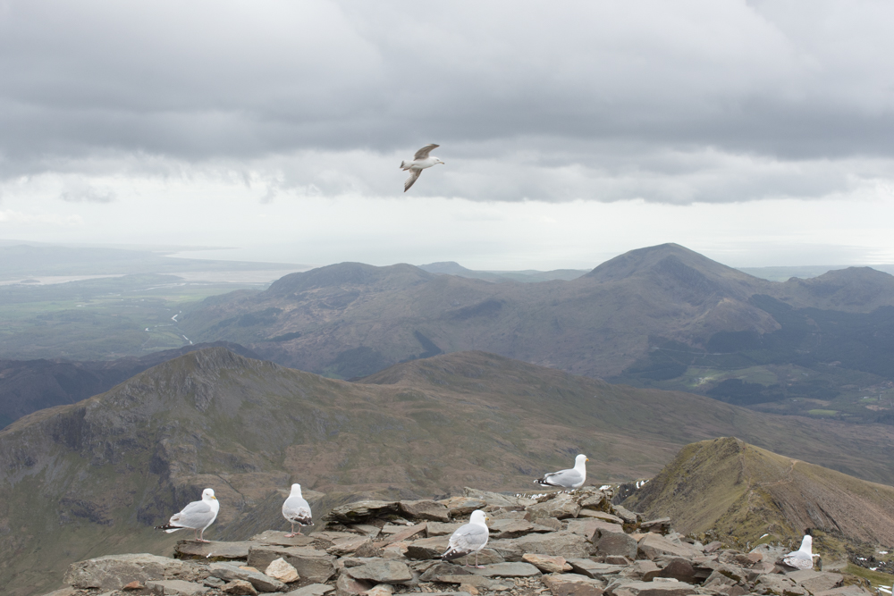 North Wales Snowdonia Photo Diary Snowdon PYG track Miners path