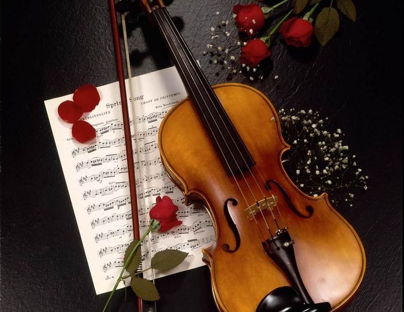 gironzolando tra le nuvole IL VIOLINO