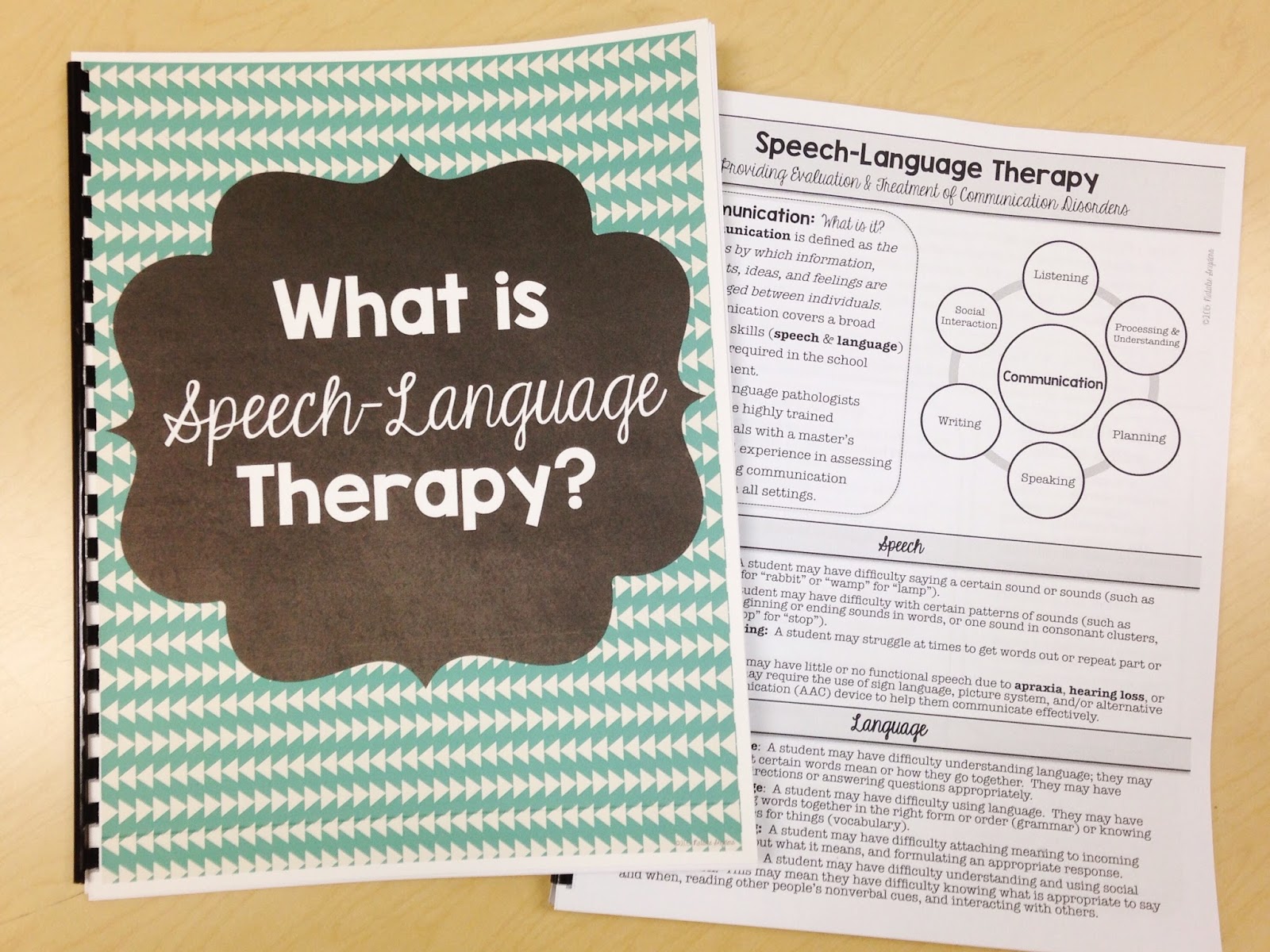 write up on speech therapy