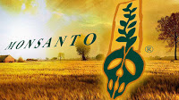 Monsanto, caída de ganancias y más despidos