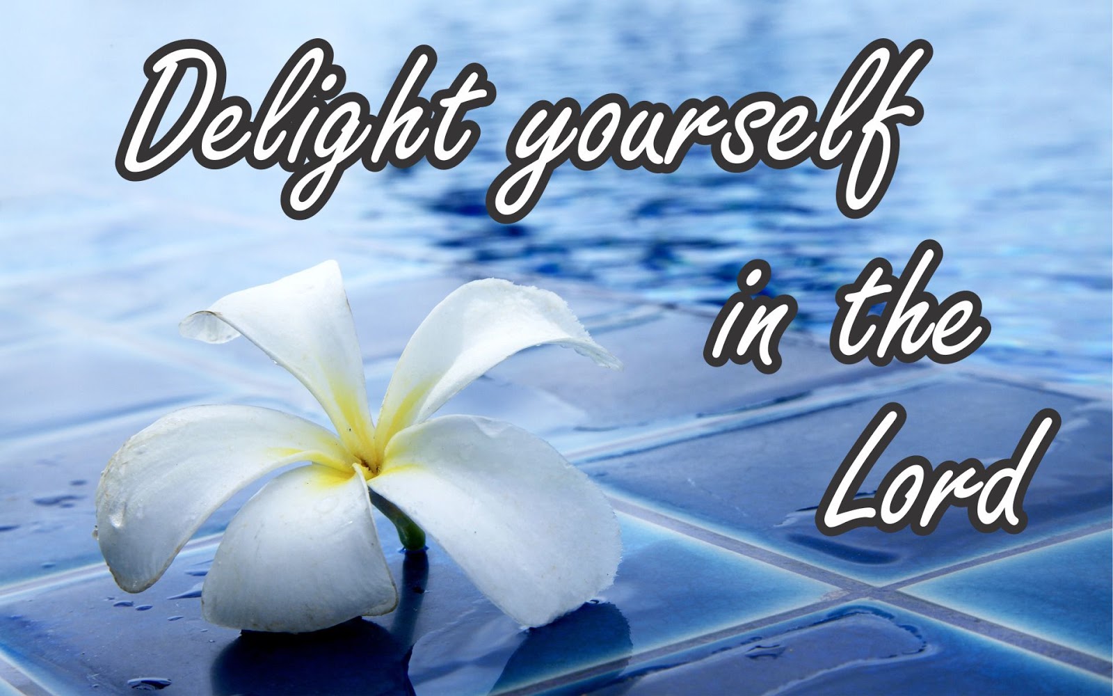 THE JOURNEY TO TRIPARTITE WHOLENESS Delight yourself in the Lord
